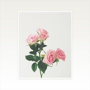 Bedroom Wall Decor, Flower Wall Art, Pastel Pink Decor, Large Wall Art Spring Roses image 5