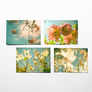 Juego de postales de flores, regalo para ella, fotografía floral - Flor