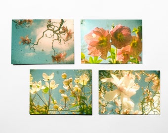 Flower Postcard Set, Gift for Her, Floral Photography - Flower