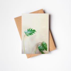 Biglietto di auguri botanico, biglietto con pianta frondosa - Cortile