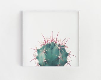 Cactus Print, Large Botanical Art, Desert Art Print - Ferocactus