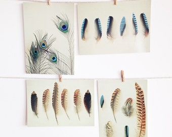 Feather Postcards, Stationery Set, Writing Gifts, Feather Art - Feather Collection