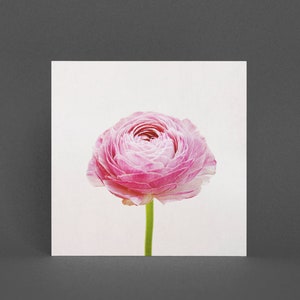 Bloem Wenskaart, Bloemenkaart - Ranonkel