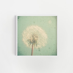 Dandelion Wall Art, Neutral Decor, Flower Prints - Dandelion Clock