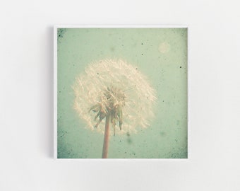 Dandelion Wall Art, Neutral Decor, Flower Prints - Dandelion Clock