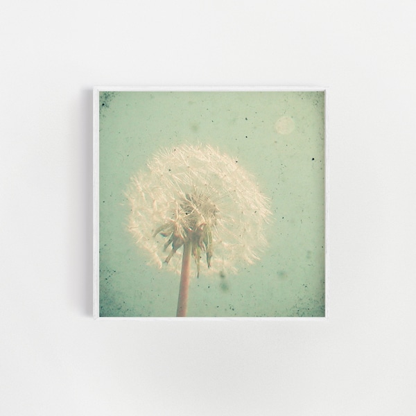 Dandelion Wall Art Etsy UK