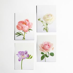 Cartes postales de fleurs, décor Boho, ensemble de papeterie - fleurs pastel