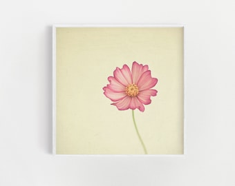 Pink Floral Print, Minimal Flower Print, Botanical Photography - Stay the Same