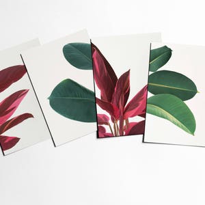 Botanische Postkarten, Geschenke schreiben, Pflanzenfotografie - Blätter