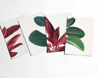 Cartes postales botaniques, Cadeaux d'écriture, Photographie végétale - Feuilles