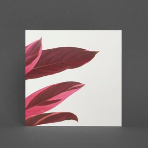 Pflanzengrußkarte - Rote Blätter I