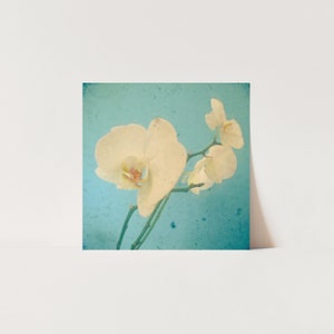 Flower Greeting Card, Orchid Card True Blue image 2