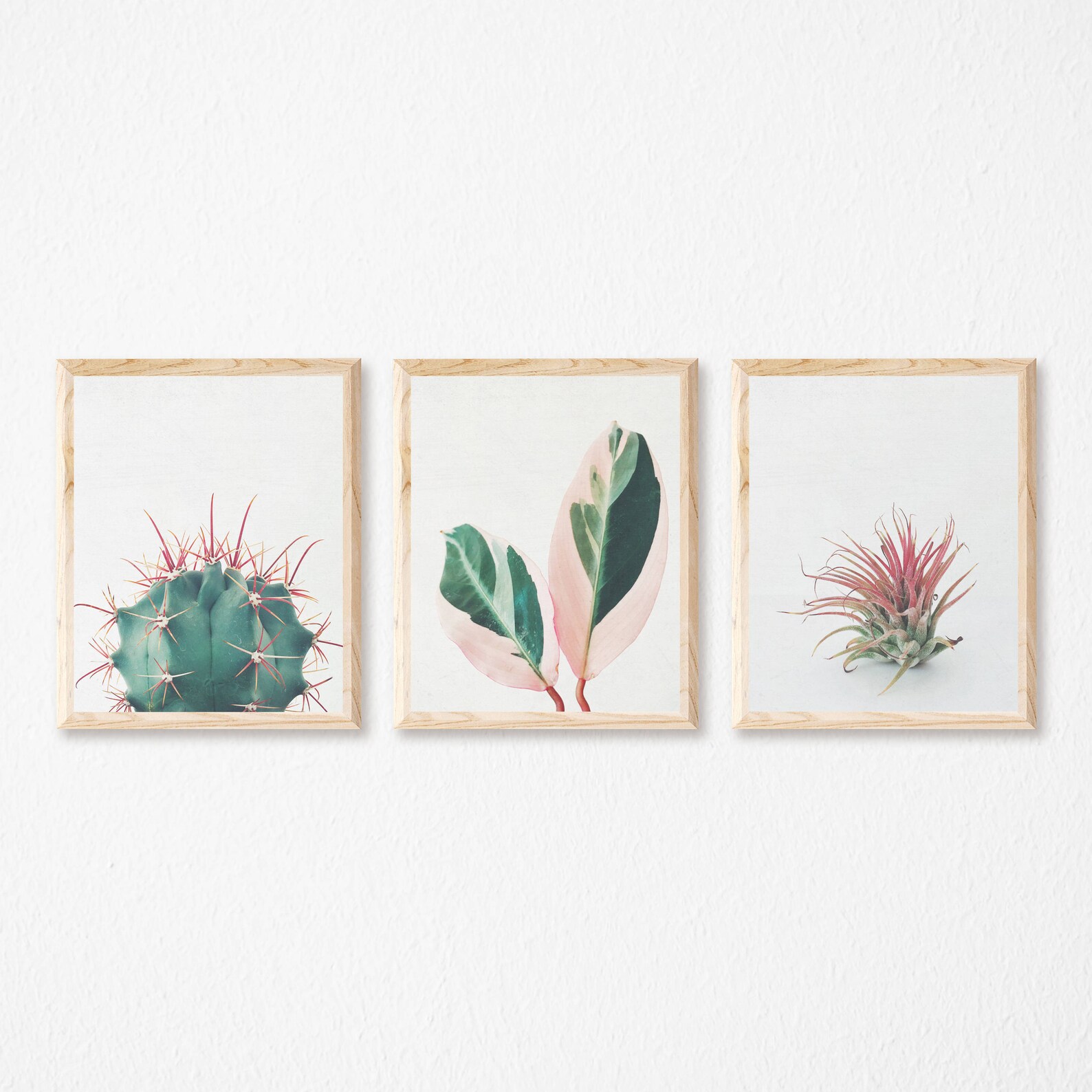 Botanical Print Set of 3 Plant Prints Wall Art Set Pink Etsy