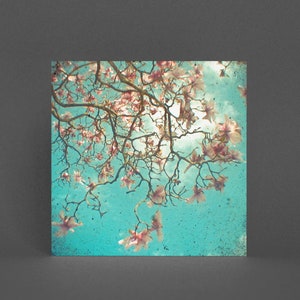 Carte de vœux Magnolia - Le jardin suspendu