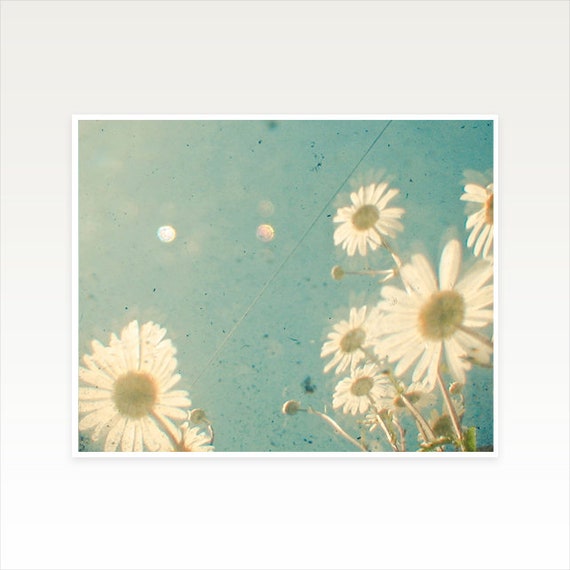 Daisy Vintage Tumblr Background