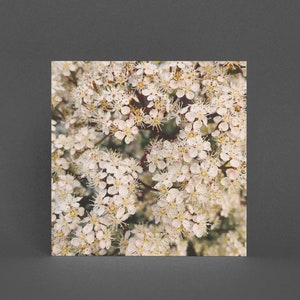 Blumen-Grußkarte, Florale Karte - Tiny Flowers