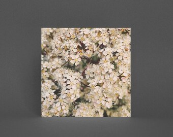 Flower Greeting Card, Floral Card - Tiny Flowers