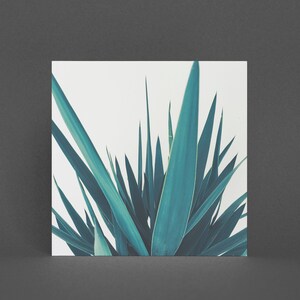 Pflanzen-Grußkarte - Yucca Blätter