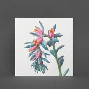 Florale Grußkarte - Sukkulenten Cluster