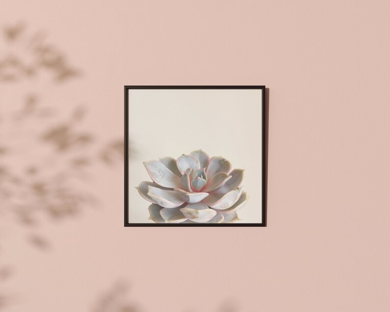 Minimal Succulent Print, Pastel Botanical Wall Art for the Bedroom Pink Succulent image 1