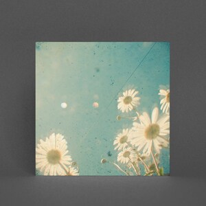 Carte de vœux florale, Daisy Card - Daydream