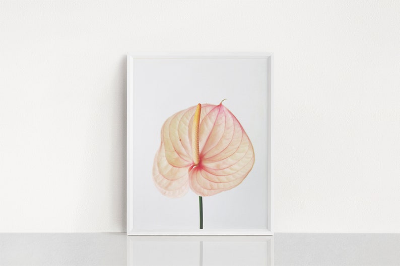 Lily Print Large Wall Art Pink Yellow Wall Art Minimal Etsy UK
