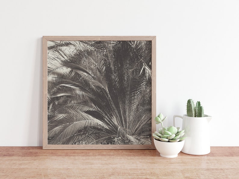 Black and White Palm Tree Print Botanical Wall Art Jungle - Etsy
