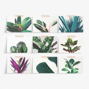 Pflanzenpostkarten, Ästhetische Raumdekoration, Briefpapier Set - Botanicals