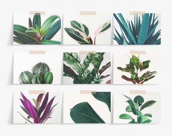 Plant Postcards, Aesthetic Room Decor, Stationery Set - Botanicals