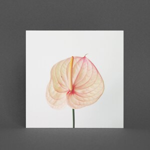 Florale Grußkarte, Blumenkarte - Calla Lily II