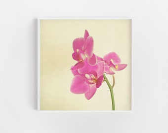 Flower Wall Art, Pink Orchid, Bedroom Wall Decor - Pink Orchid