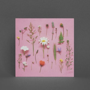 Tarjeta de felicitación de flores, tarjeta floral - Flores silvestres