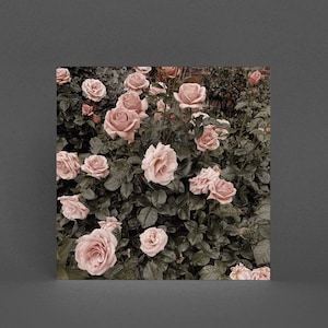 Rose Grußkarte, Pink Flower Card - Gothic Garden