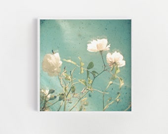 Vintage White Rose Print: Floral Photography on Pearl Paper