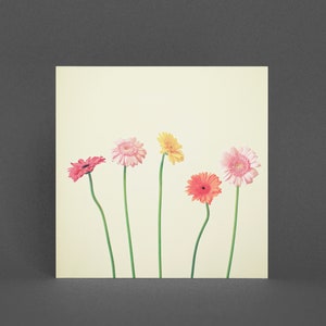 Carte de voeux fleur, carte Gerbera Daisy - Comment votre jardin pousse-t-il ?