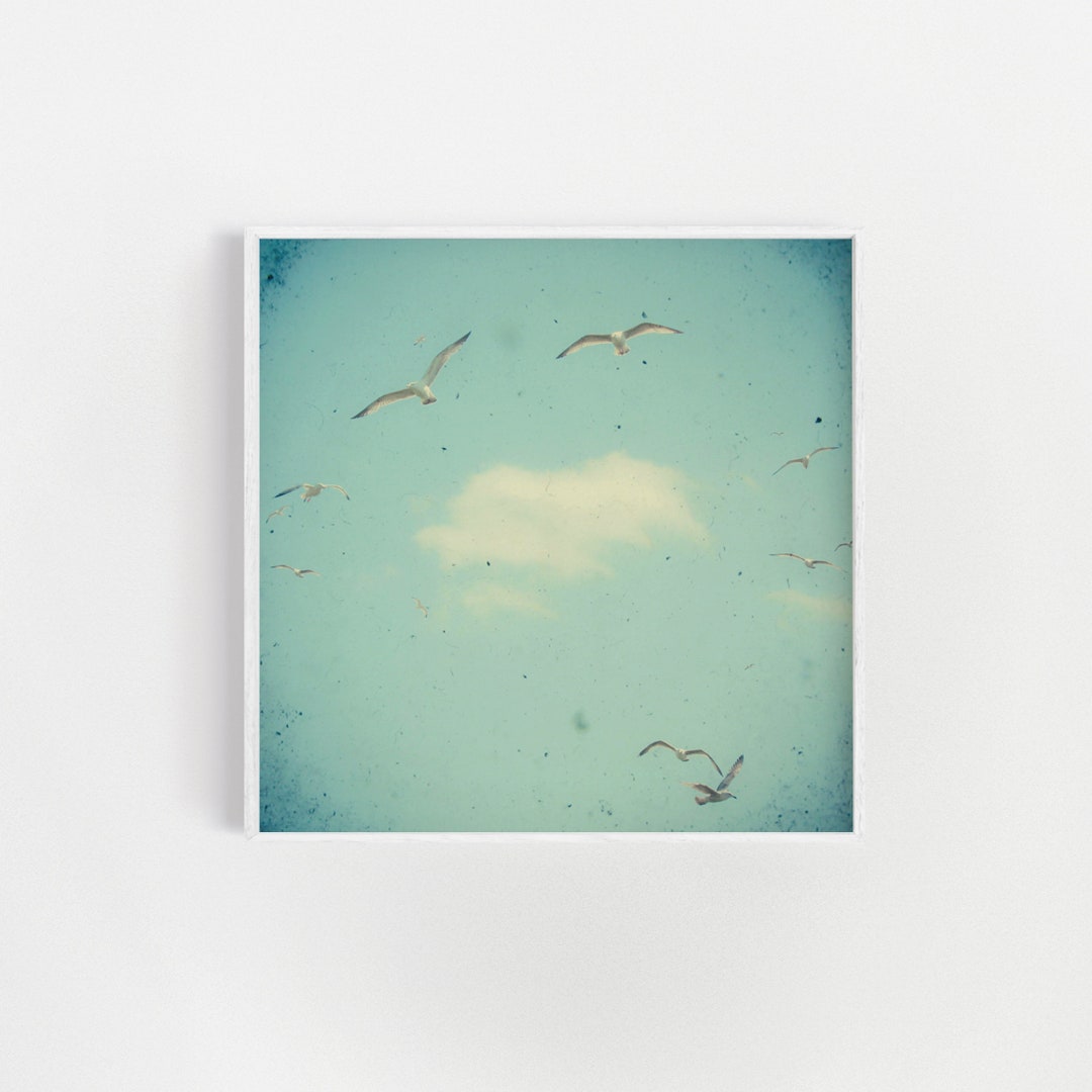 Bird Print, Coastal Wall Art, Beach House Decor - Circle of Birds - Etsy