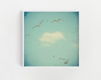 Bird Print, Coastal Wall Art, Beach House Decor - Circle of Birds