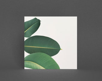 House Plant Card, Botanical Greeting Card - Rubber Fig Leaves II