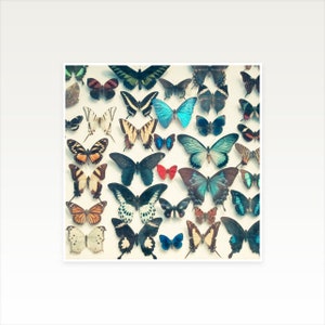 Butterfly Print, Bedroom Wall Decor, Butterfly Decor Wings image 2