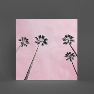 Pink Palmen Baum Karte - Pinke Palmen
