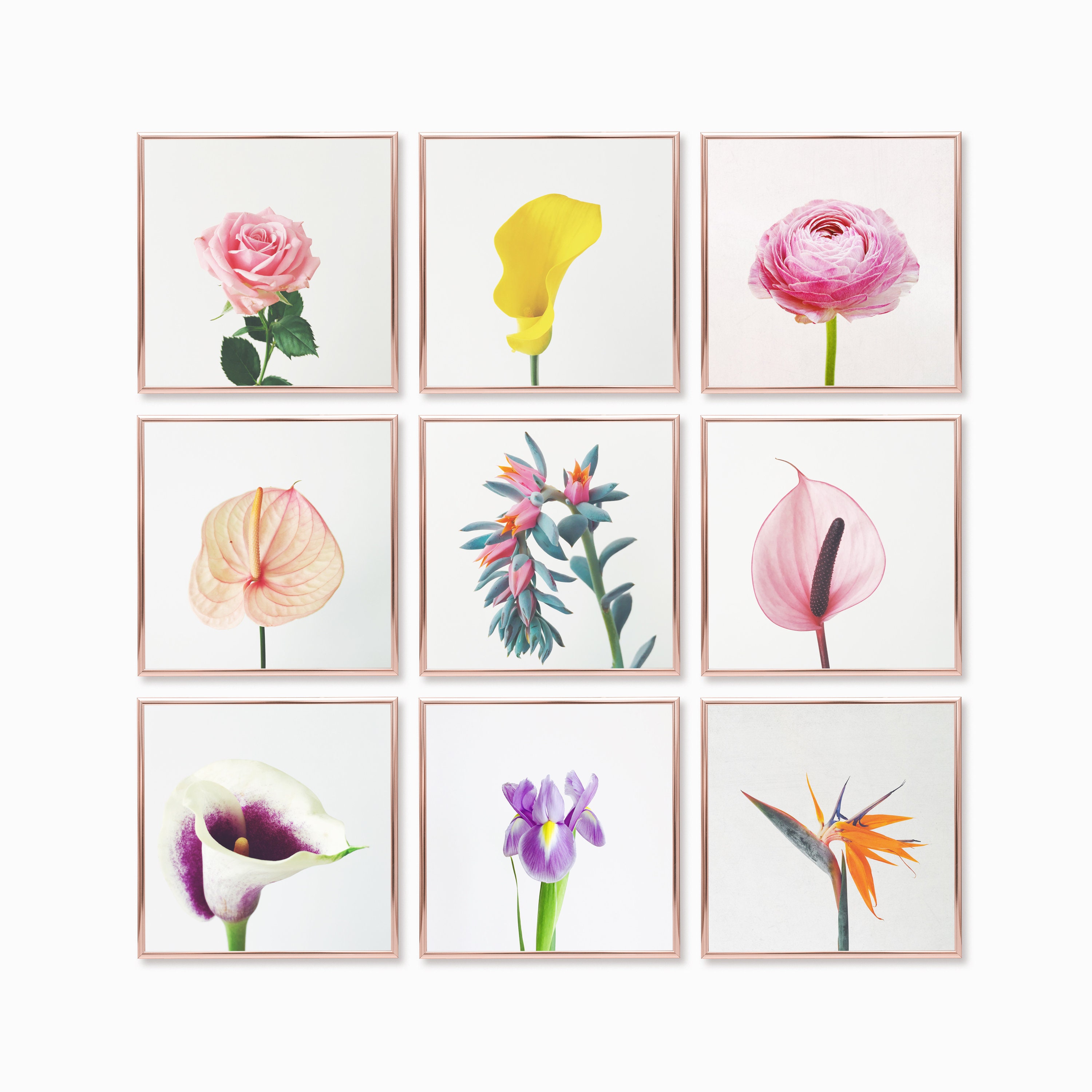 Flower Aesthetic Prints Set of 9 Floral Wall Art Minimal