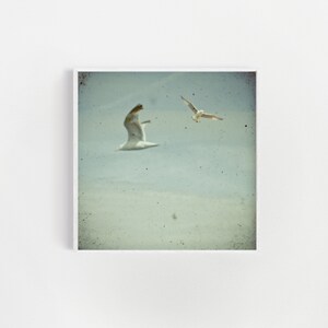 May include: Two white seagulls flying in a blue sky with white clouds. The sky is a light blue with a faded, vintage look.
