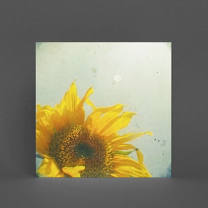 Carte Tournesol, Carte Florale - Sunburst