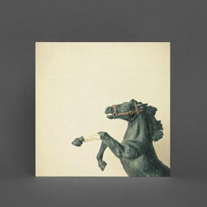 Carte de voeux cheval - Le cheval noir
