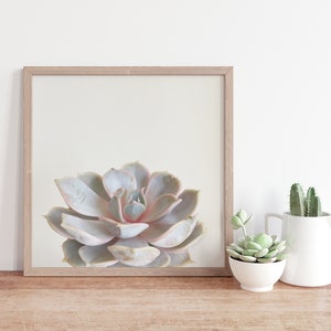 Minimal Succulent Print, Pastel Botanical Wall Art for the Bedroom Pink Succulent image 2