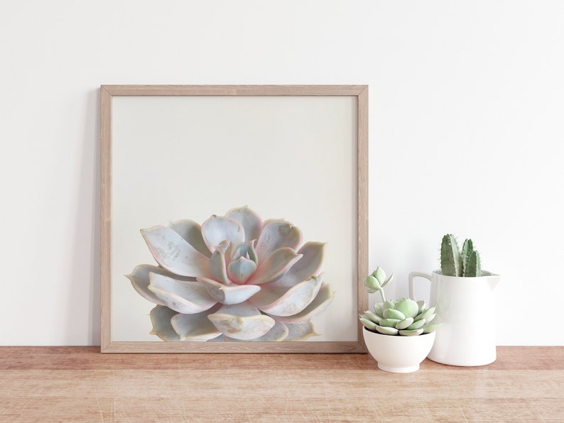 Minimal Succulent Print, Pastel Botanical Wall Art for the Bedroom Pink Succulent image 2