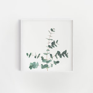 Eucalyptus Print, Botanical Art, Plant Print, Kitchen Wall Art - Eucalyptus