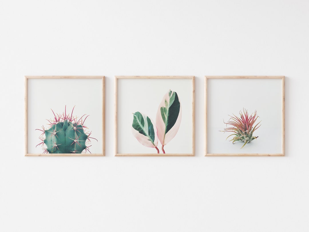 Botanical Print Set of 3, Plant Prints, Wall Art Set - Pink and Green ...