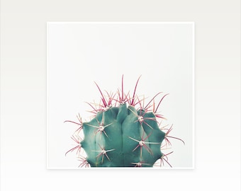 Cactus Print, Botanical Wall Art, Sale Items - Ferocactus