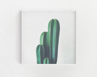 Cactus Wall Art, Botanical Print, Kitchen Art - Organ Pipe Cactus